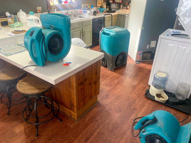 Reliable Paulding, OH Water damage restoration Solutions